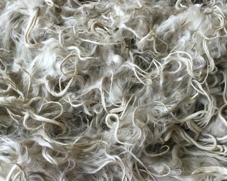 Alpaca Fibre Overview