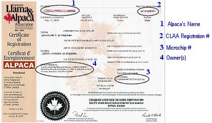 CLAA Registration Example